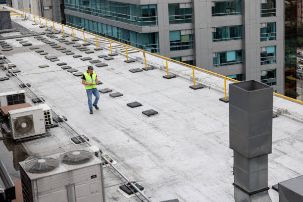 Best Storm Damage Roof Repair  in Urbana, OH